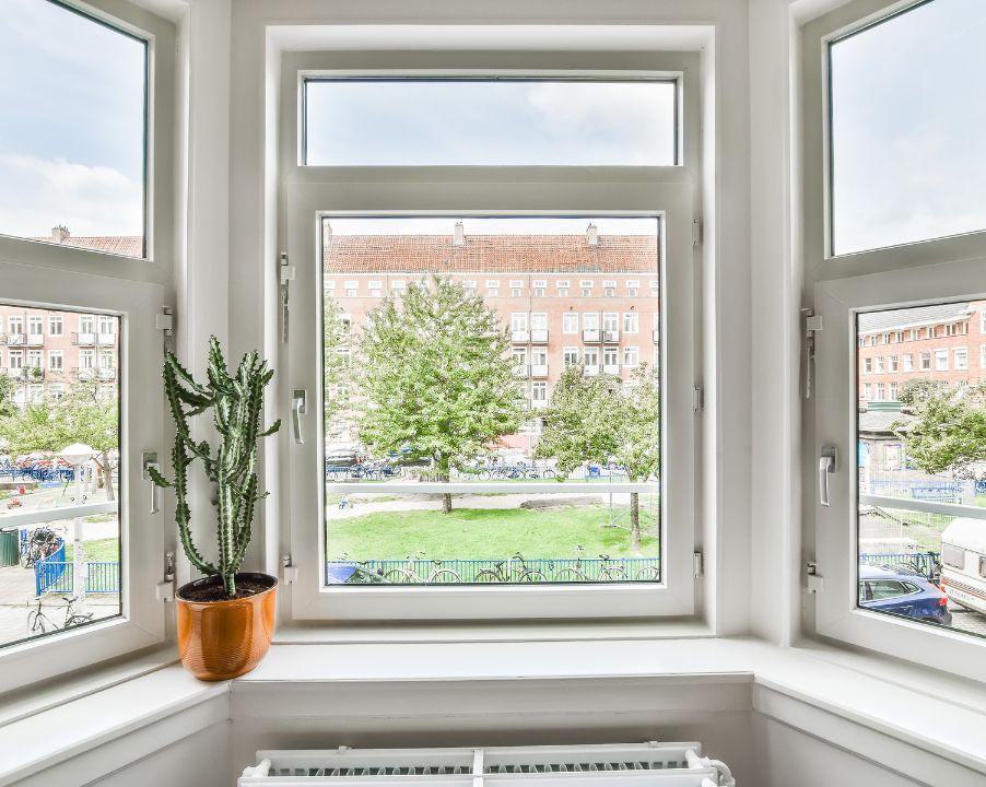 best window company Conifer